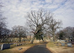 forthelivingnotthedead: Arlington NJ  cemetery