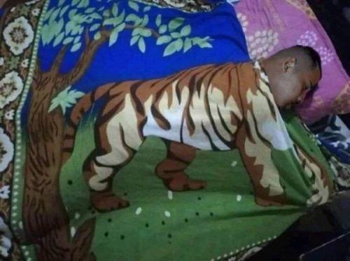 welele:  Soy un tigre en la cama.