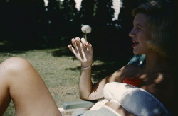 tremendousandsonorouswords:  Sylvia Plath in 1954, during her “platinum summer”.  © The Lilly Library, Indiana University 