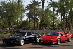 desertmotors:  Lamborghini Jalpa and Lamborghini Countach 5000S   Good ole classics. Follow Cars,Women,Weed and Other shit http://cwwaos.tumblr.com
