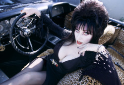 nerdcorp:  Your Woman Crush Weekly is Elivra (Cassandra Peterson)!The 66 year old bombshell is from Manhattan, Kansas and grew up fascinated by horror themed toys, as opposed to her friends who played with Barbies.  After working as a go-go dancer, she