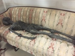 boone-is-bi:  shiftythrifting:  Found at an antique mall in Lakeland, Florida Admin Didi here, it is rare I feel the need to add anything to a submission, but this is a dead alien on a grandma couch and it is quite possibly the shiftiest thing to come