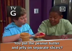 tvatr:  ill-be-y0ur-safety:  standhaft:  the-universe-of-justin:  Did Disney think Floridians were some alien race or something.  We are  too accurate    Yeah but who doesn’t put peanut butter and jelly on separate slices????