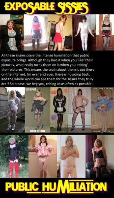 rachel65blog:  More sissies added, do the same and repost everywhere 