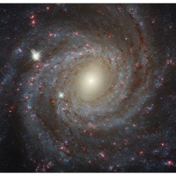 Facing NGC 3344 #nasa #apod #esa #hubble #hubblespacetelescope #ngc3344 #spiralgalaxy #constellation #leominor #stars #gas #dust #galaxy #interstellar #intergalactic #universe #space #science #astronomy