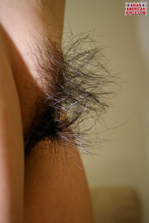 Asian hairy pussy close
