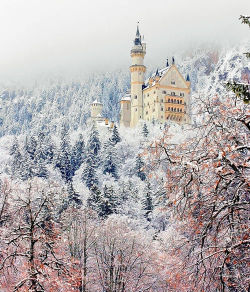 Winter fortress (Neuschwanstein Castle, Bavaria, Germany)