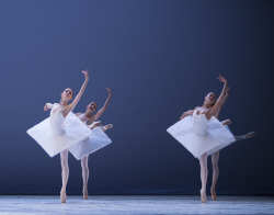 complexae:   Dutch National Ballet by ph. Angela Sterlin 