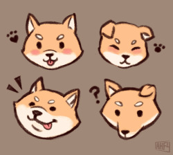 some sheebs to celebrate the new year! 