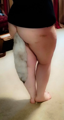 painandadventure:  My new tail came in. Looks pretty next to those cane marks.