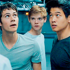 newtmos:  thomas and minho lowkey checking each other out ( •⌄• ू )✧ 