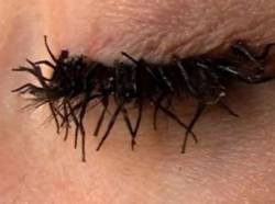 beyoncebadu:  dookiediamonds:  juicymixtape: unexplained-events:  These eyelashes may seem like they are heavily mascara-ed, but they are actually made of fly legs. This controversial statement is the work of artist Jessica Harrison.     Bruh ew  I threw