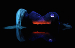 skitty-little-kitty:  petdolls:  jedavu:  Stunning Fluorescent Landscapes Painted on Female Bodies by Photographer and artist John Poppleton   I knew that would be you before I saw who posted it  It’s so pretty how could you not?