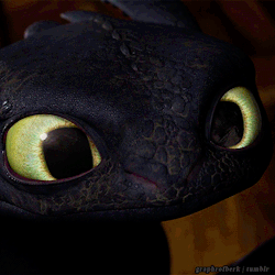 s00tball:  jodecides:  ask-oklahoma-america:  sunsetofdoom:  tarch-7:  Toothless is so cute here.  THE DETAILS HIS NOSTRILS ARE PINK ON THE INSIDES YOU CAN SEE THE EDGES OF HIS SCALES HE’S STILL COVERED IN DIRT AND SOOT FROM THE FIGHT DREAMWORKS WHY