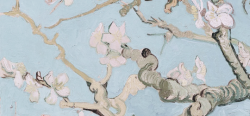 touika: Detail of Almond Blossom. 1980. Vincent van Gogh.   