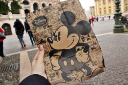 nutell4stic:  I just had to go to disney store and buy something to get this cute bagyou can see Arena di Verona in the background (:Verona, Italy; 15 February 2015  Reblog more here   