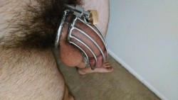 locked-kaidyn:My first cage… Almost 2 years ago already wow!  Also, just about at 24 hrs locked in current cage :3