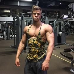 muscletits:  The ultimate muscle-slut shirt because:  a) cammo/faux military “tough” color, b) Gold’s Gym logo with the muscleman on front, or c) cut so it shows off the pecs but only half-hides/teases the nipples.  Or just punish him for all