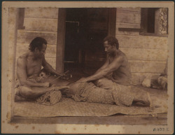 By Thomas Andrew, c. 1890, via Auckland Museum:  Tattooing, Samoa: Tufuga ta tatau making a tatau on a man&rsquo;s back.