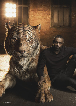 disneythejunglebook:  Idris Elba as Shere Khan In “The Jungle Book” Idris Elba plays Shere Khan, a ruthless and predatory tiger that plagues the peaceful people of the Jungle. 