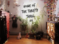 thethriftythrill:  &ldquo;Collect things you love, that are authentic to you, and your home becomes your story&quot; —Designer Erin Flett Here’s a few tips on how to achieve The Thrifty Thrill aesthetic: Step 1 – Collect everything; shells, stones,