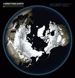 thedailywhat:  GIF of the Day: Breathing Earth Reveals Our Planet’s Seasonal Changes Check out New Orleans designer John Nelson’s animated, time-lapse GIFs based on cloud-free satellite imagery from the NASA Visible Earth catalog, which reveal an