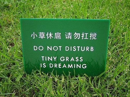 Keep off a grass