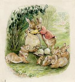 pagewoman:   The Tale of The Flopsy Bunnies   by Beatrix Potter 