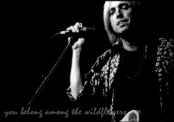 you belong with your love on your armyou belong somewhere you feel freeTom Petty 1950-2017