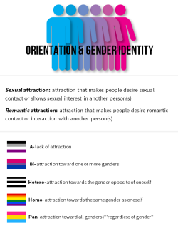 thepanclan:  mxcleod:  mmikan:  Here’s information about sexual/romantic orientations and gender identities that I put together! I..I don’t do graphic design, so this isn’t that great. Also, I’m very sorry if I missed your orientation or identity