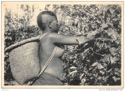   Congolese Banya-Bongo woman, via Delcampe.  