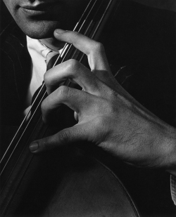 inritus:  Hand of Gerald Warburg, 1929. Photographed by Imogen Cunningham.