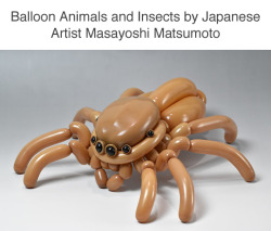 tastefullyoffensive:  Balloon Animal Art by Masayoshi Matsumoto (see more)