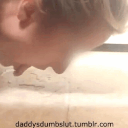 daddysdumbslut:  A dirty fuck pig like me is not worthy enough to use the toilet so I piss on the floor and clean up afterward with my tongue. Thanks for the request @stan4u See the full video here: http://xhamster.com/movies/6423595/piss_lick.html 