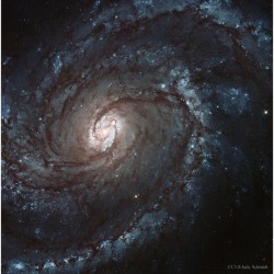 M100: A Grand Design Spiral Galaxy #nasa #apod #m100 #ngc4321 #granddesign #galaxy #hubble #esa #universe #science #space #astronomy