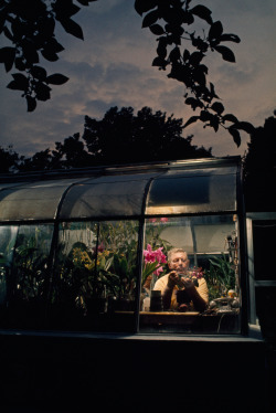 natgeofound:  An amateur orchid grower works in the window of his greenhouse in Silver Spring, Maryland, April 1971. Photograph by Gordon Gahan, National Geographic