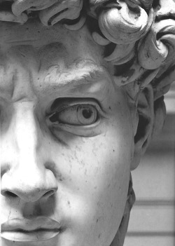 chromeus:  “David” Michelangelo  The promises of this world are, for the most part, vain phantoms; and to confide in one&rsquo;s self, and become something of worth and value is the best and safest course.   ♠Michelangelo♠ Thule   