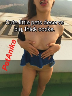 petanika:  Thanks for the submission! I really do deserve it, I’m a good pet. 