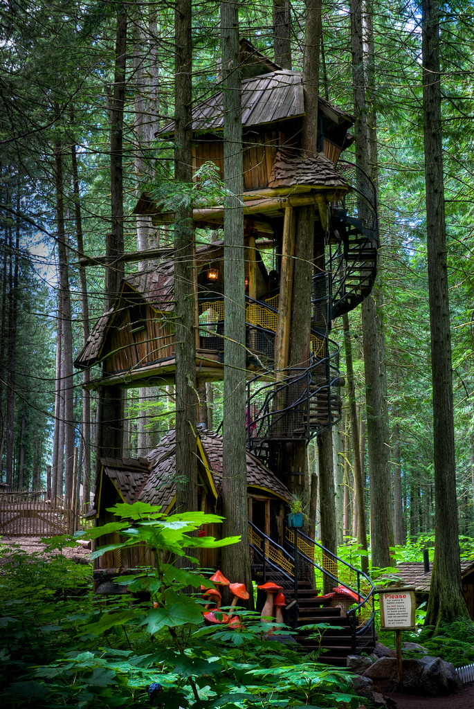 dearscience:

Tallest Tree House In BC by Keith Watson

COOOOOOLL