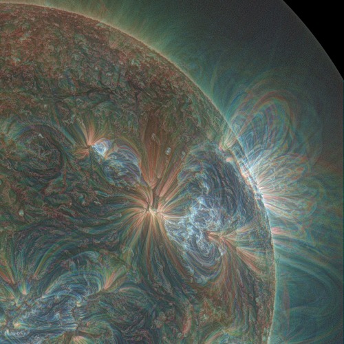 lionfloss:  Amazing Solar Flare Eruptions Captured by NASA’s Solar Dynamics Observatory