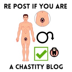 mistress-bianca: There’s gotta be so many of my followers that will reblog this! You know whos chastity queen 