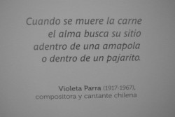   Violeta Parra Las mujeres son de mi admiración.  