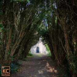 Tree tunnels always feel a bit magical 