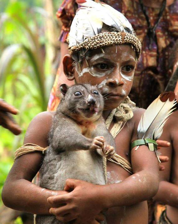 Papua new guinea man eats baby