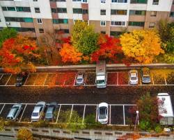 lepetitblogger: Fall in Korea 🍃🍁🍂 