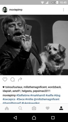 Mark Hamill&rsquo;s dog Millie liked my picture on instagram 😜