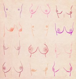 kaijudesu:  sexeed:  skelliwog:  velvet-moon:  what tits actually look like  this made me feel a lot better about myself   amen  lmfao I just asked my mum to pick which ones were hers and she said “none, there aren’t any that go down to their knees”