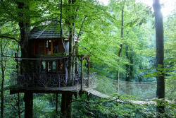 treehauslove:  Auvergne Treehouse. A cozy treehouse with a hanging bridge which leads to the observation deck. The interior is colourful and gets a lot of daylight through the huge windows. Located in Auvergne, France.     Continua a leggere 