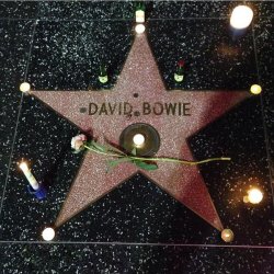 jareths-goblin-queen:  Hollywood Walk of Fame this morning. 