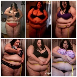 ultra-msfatbootyfan:  And this is why Lisa aka BBW Ms Fat Booty is the best gaining pig out there!!! I mean LOOK at the gain??? 